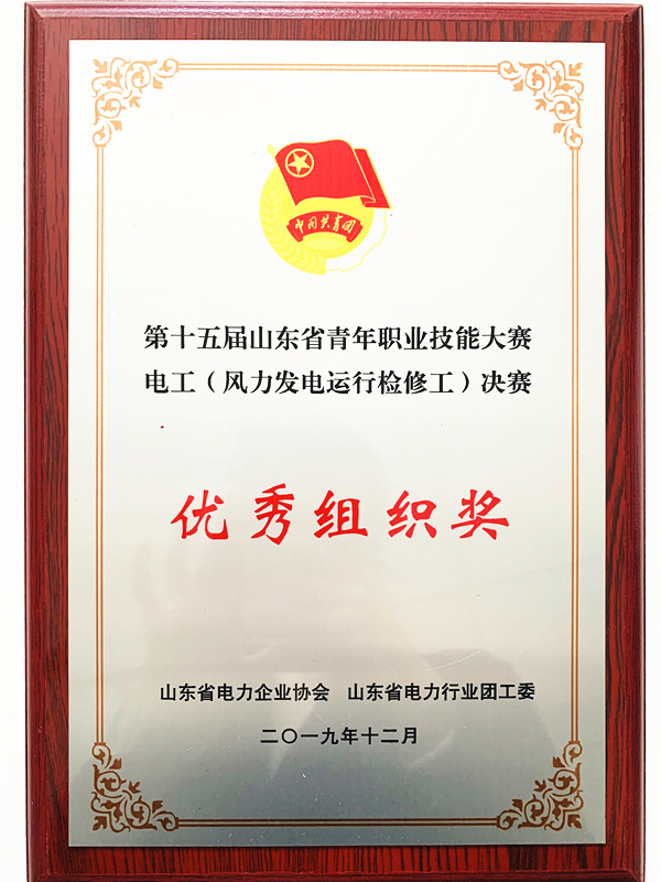 祝贺我司在第十五届山东省青年职业技能大赛中荣获“优秀组织奖”